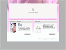 Tablet Screenshot of bdrasia.com.sg
